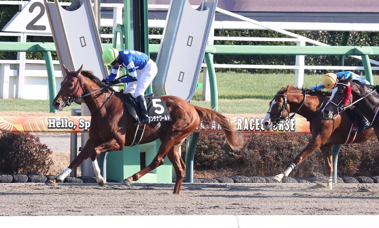 中山新春JSを逃げ切ったコンテナワールドと井上騎手（撮影・丹羽敏通）