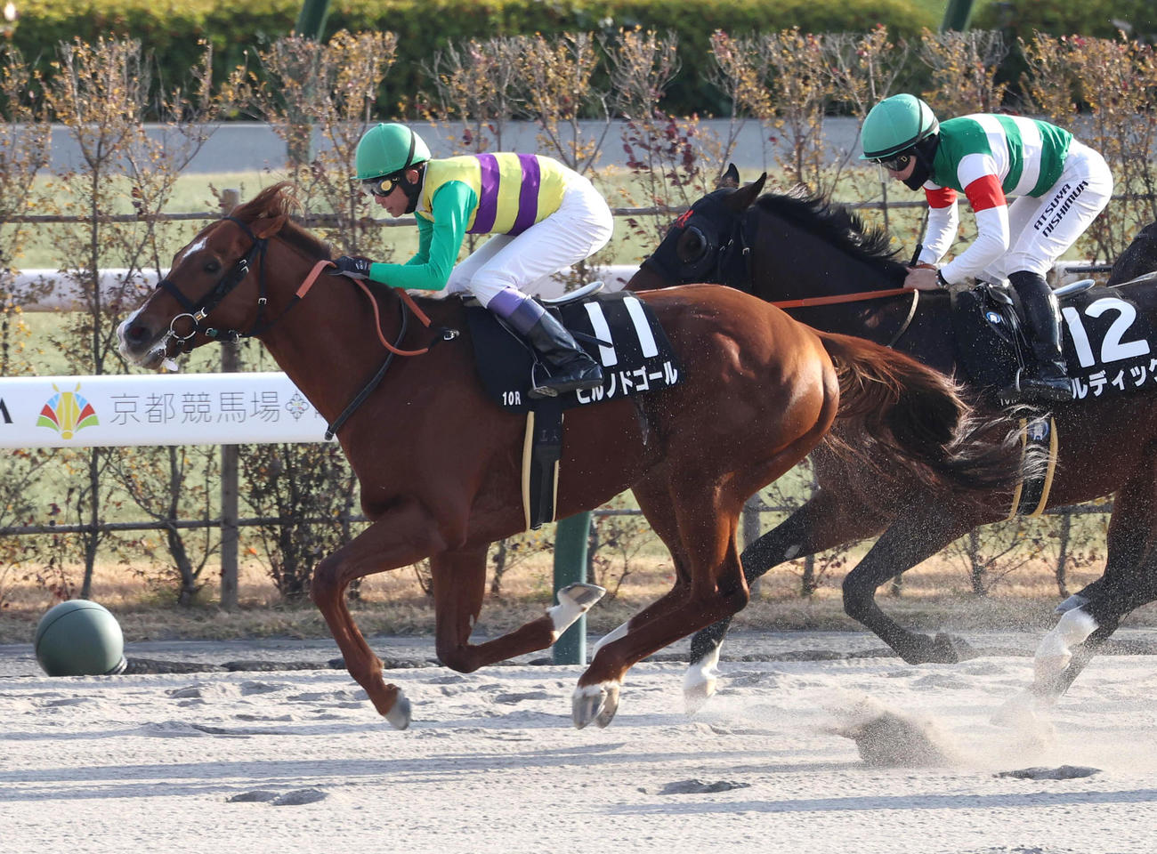 武豊騎手を背に門松Sを制したヒルノドゴール（撮影・白石智彦）