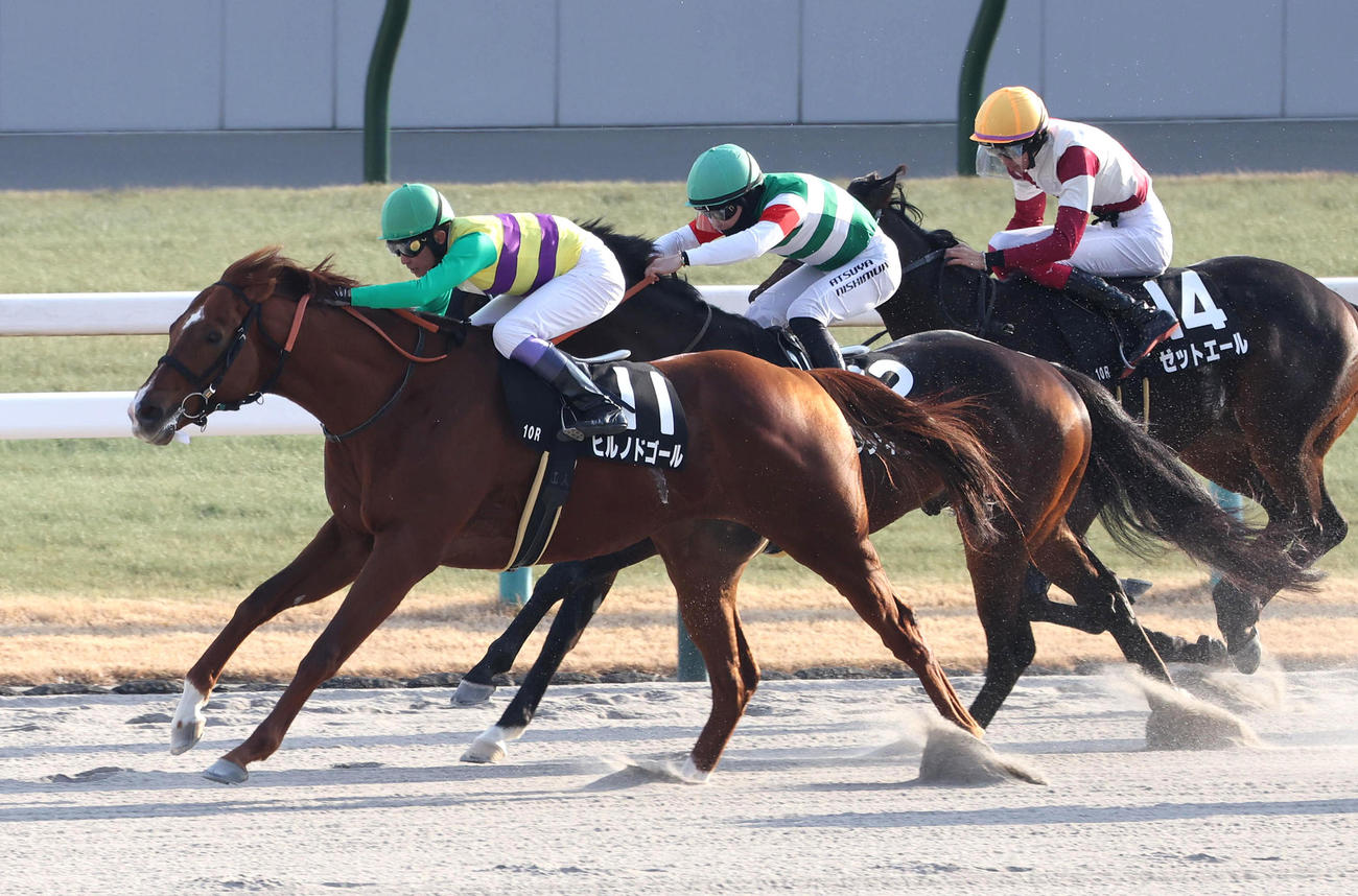 武豊騎手を背に門松Sを制したヒルノドゴール（撮影・白石智彦）