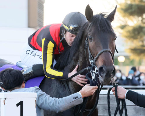 JRA　競馬　’91世界最強3歳馬アラジ号　写真（額入り） アラジャイ 牡3歳 ※地方競馬 在籍 | サラブレッドオークション