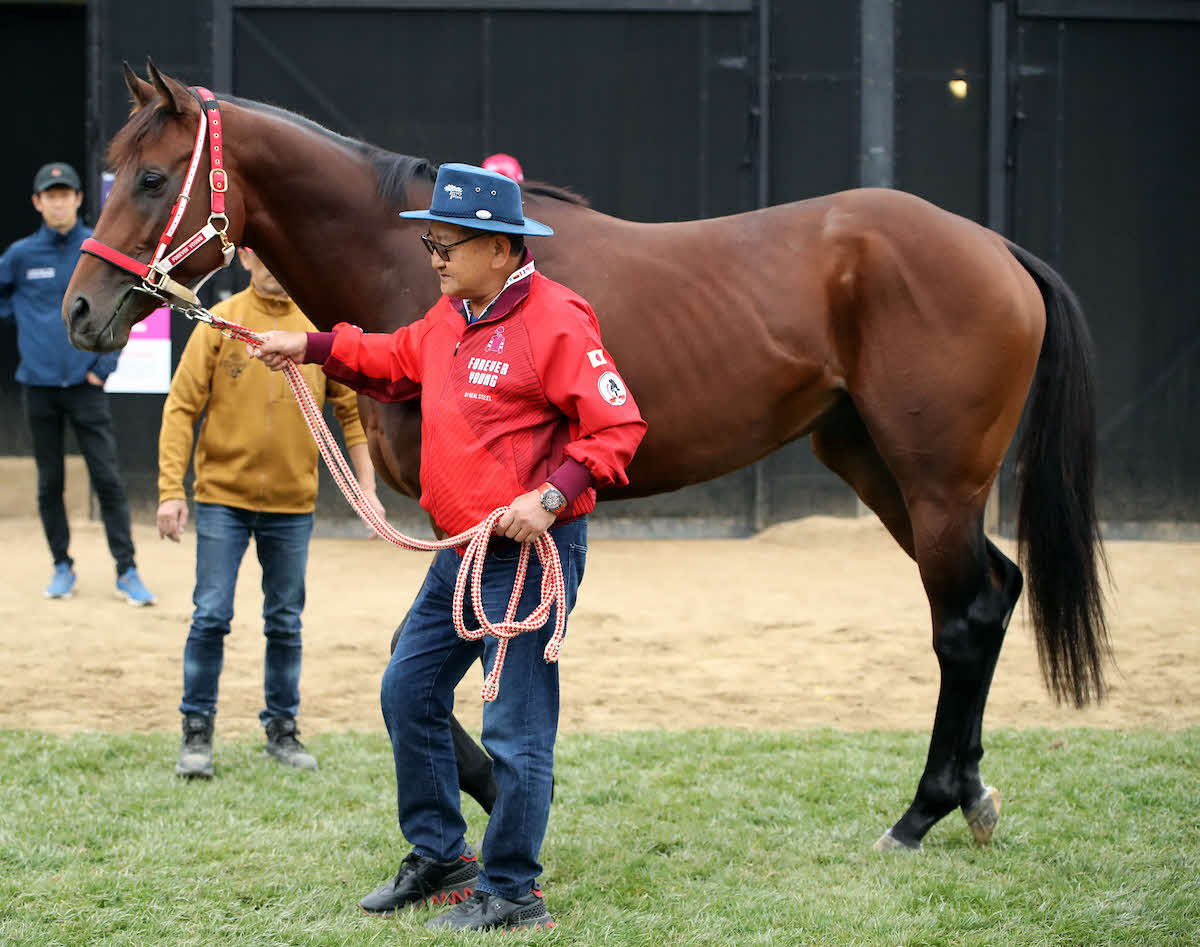 フォーエバーヤングと矢作師（C）Breeders' Cup