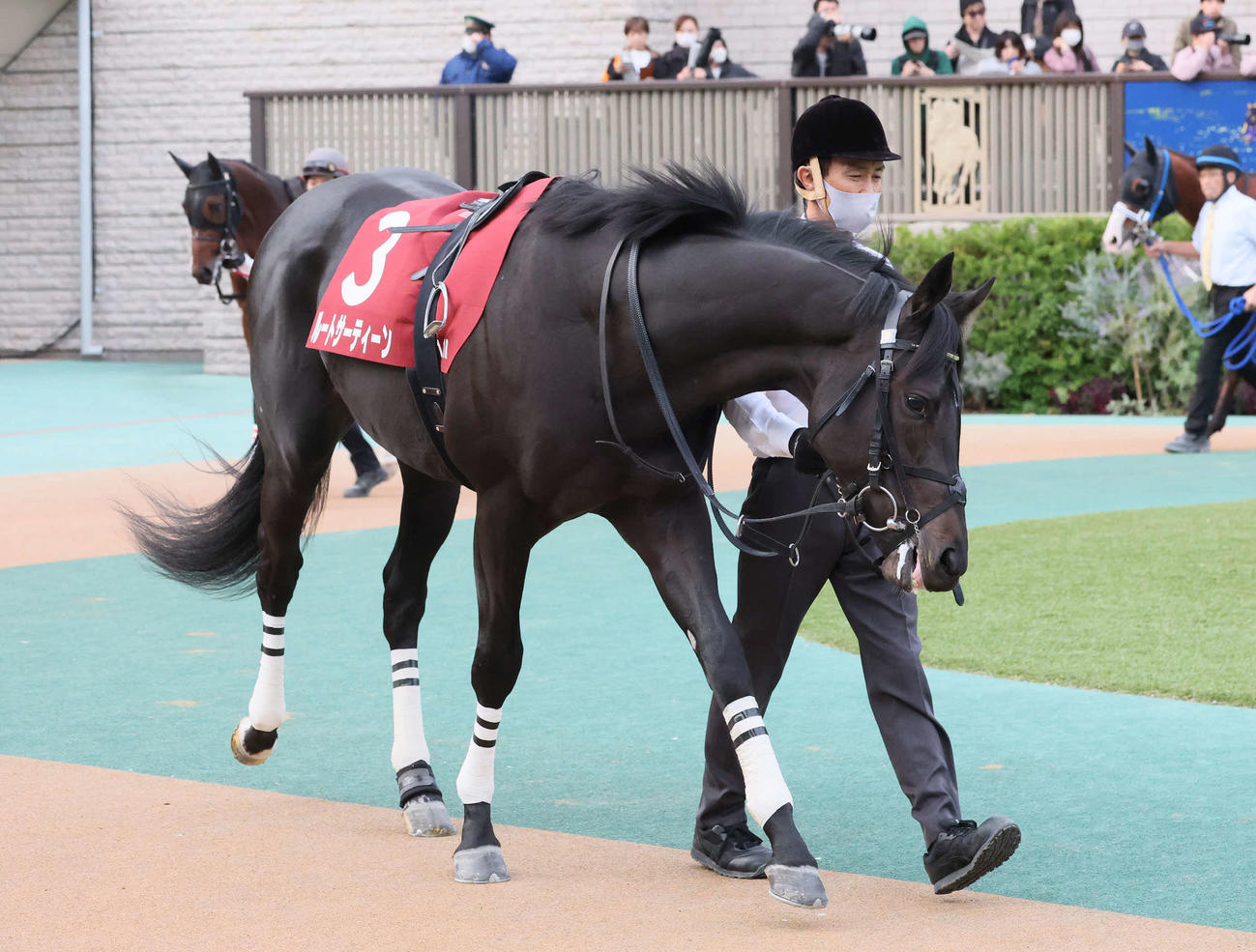 東京11R、京王杯2歳Sに出走したルートサーティーン（2025年11月8日撮影）