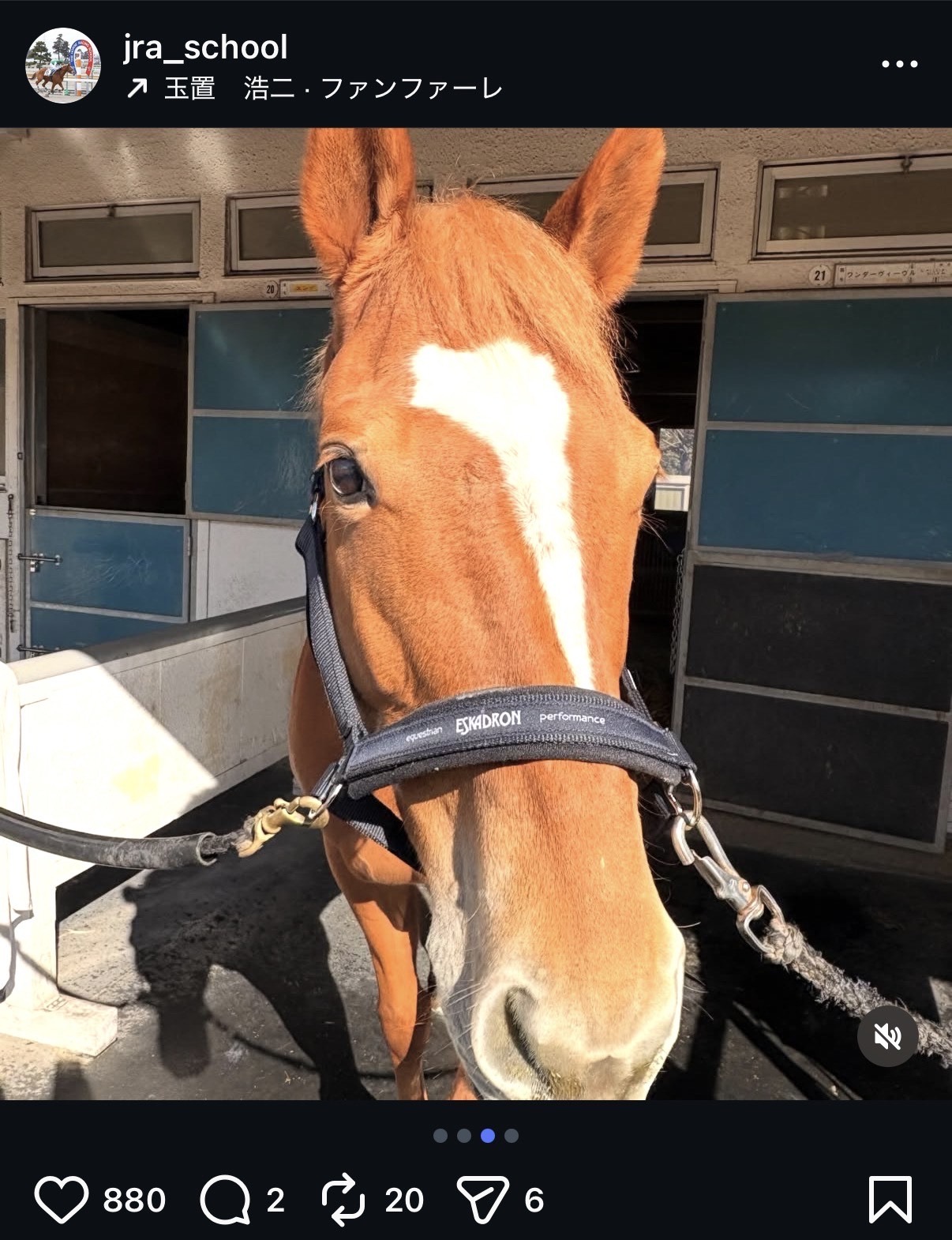 JRA競馬学校の公式インスタグラムから
