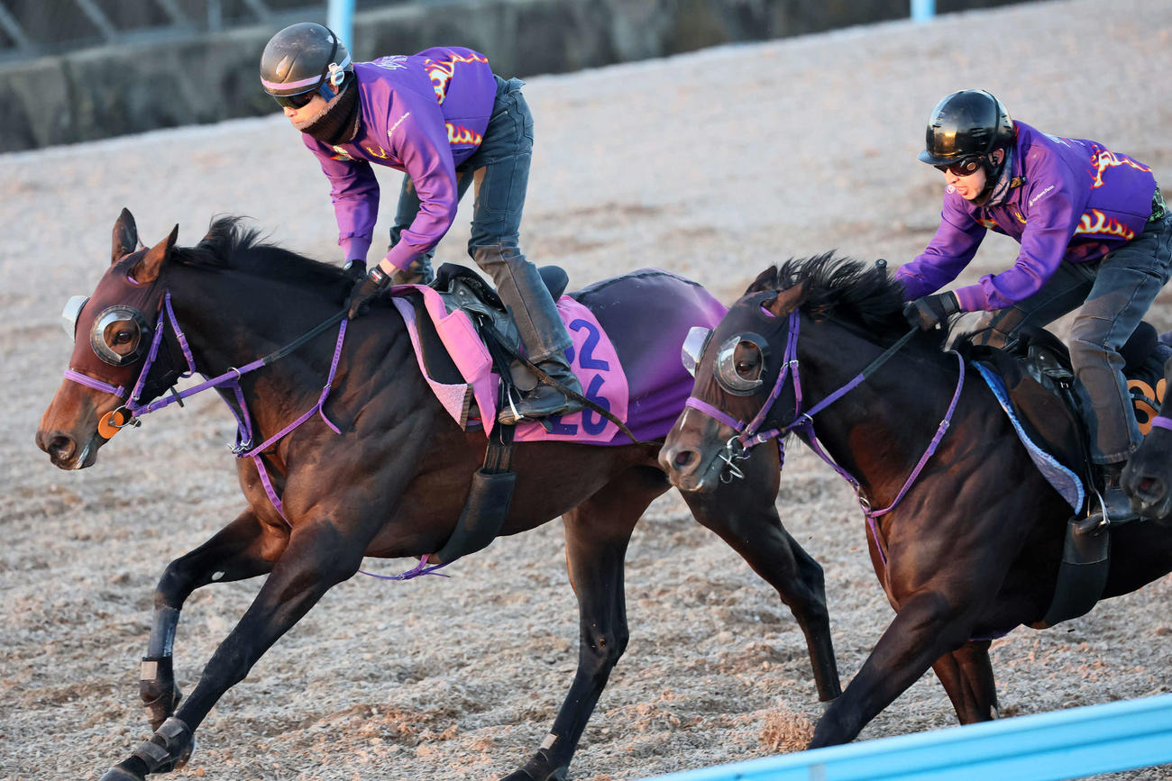 サンアントワーヌ（左）は美浦ウッドを併せ馬で追い切られた（撮影・丹羽敏通）