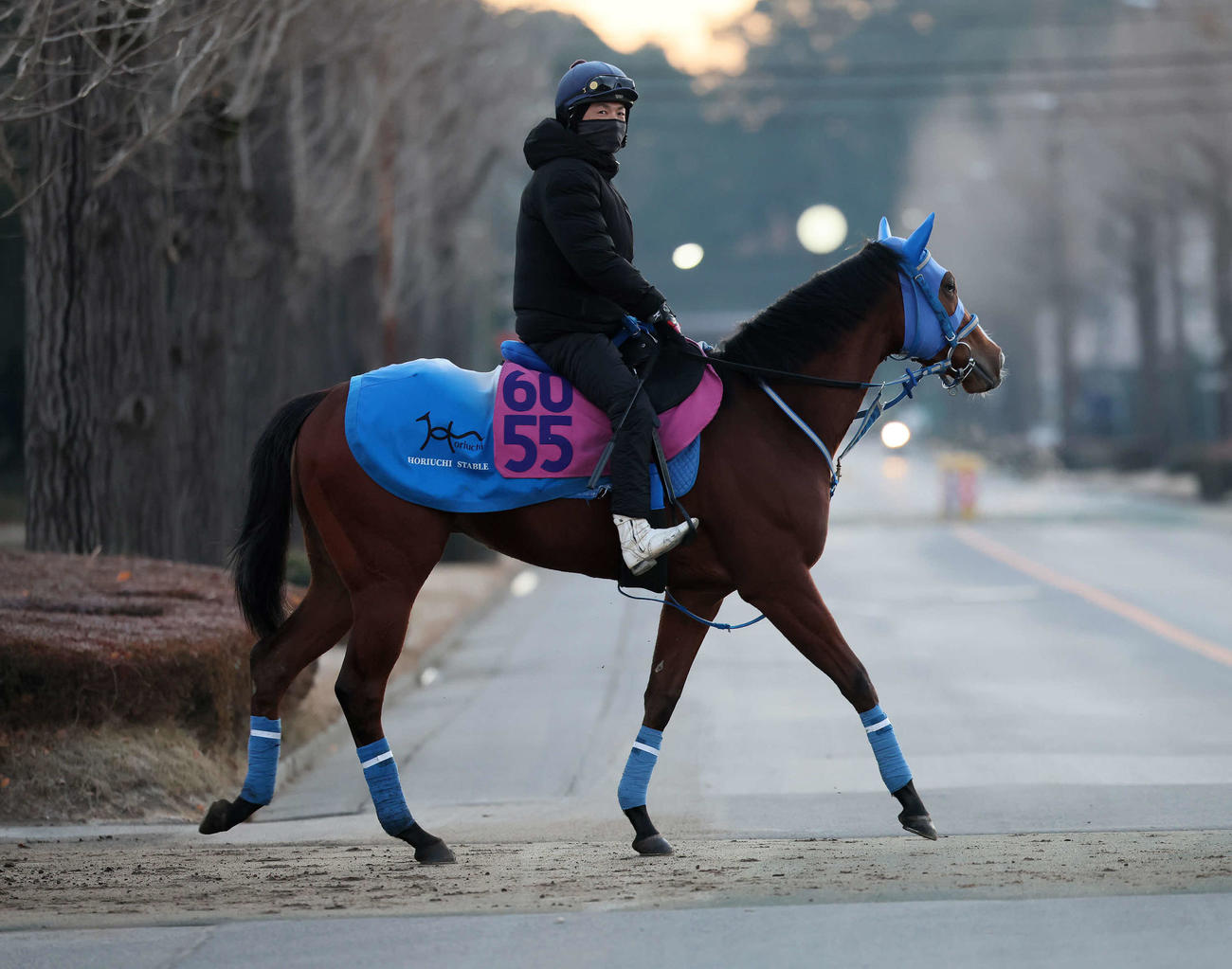 大通りを渡って馬場へ向かうビッグカレンルーフと松岡騎手（撮影・丹羽敏通）