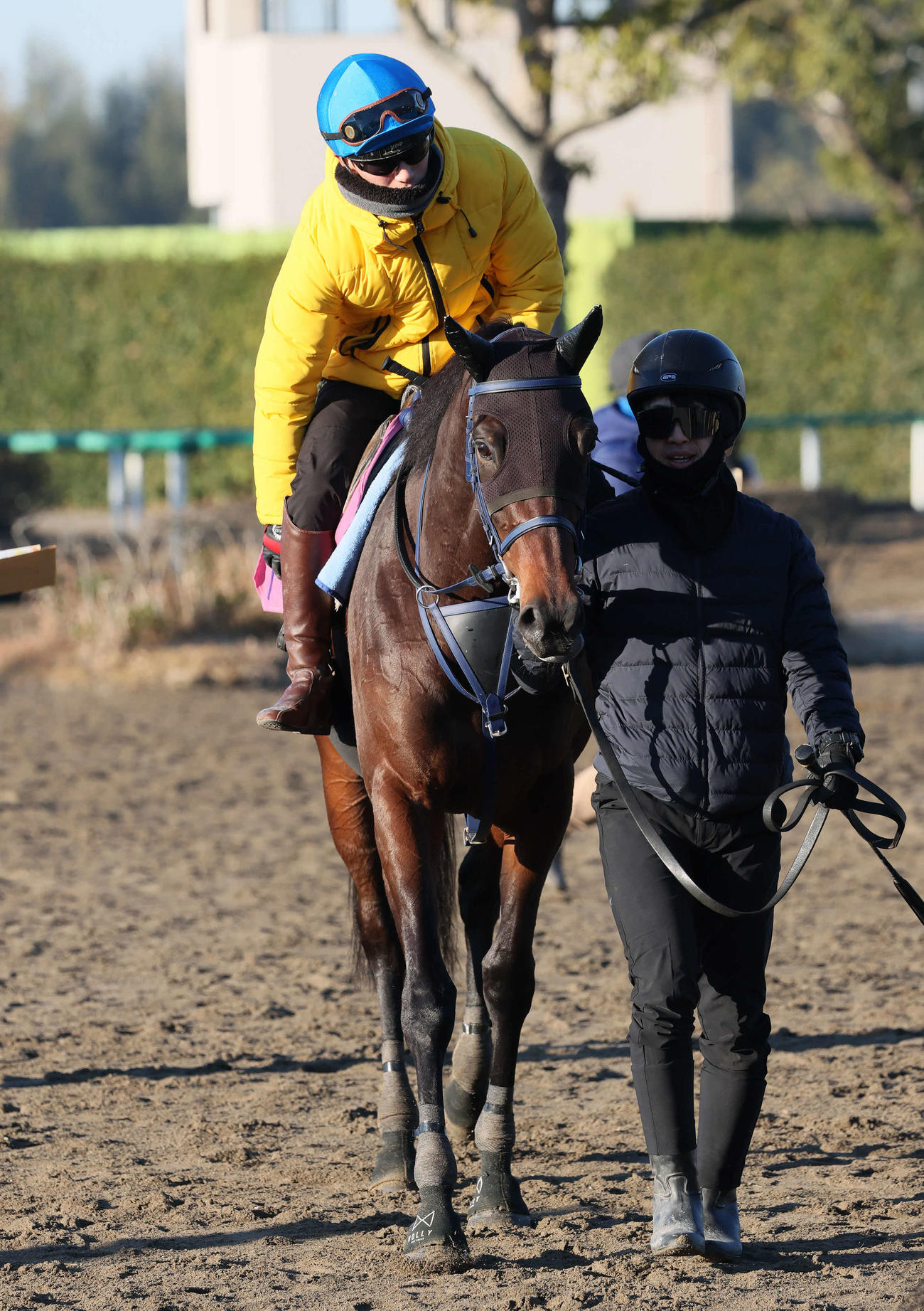 8日、追い切りを終えて馬場を出るトワニと菅原明騎手