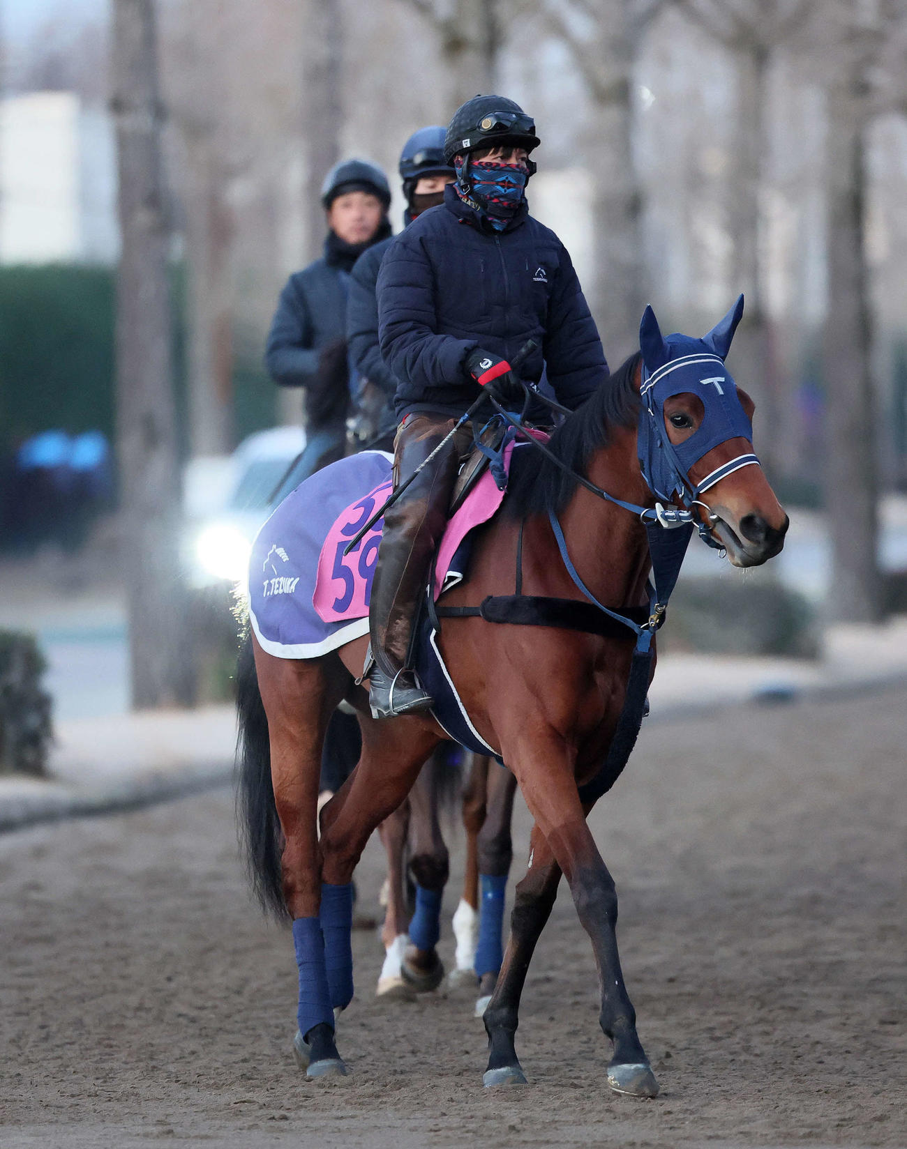 8日、乗り運動で調整するディアダイヤモンド