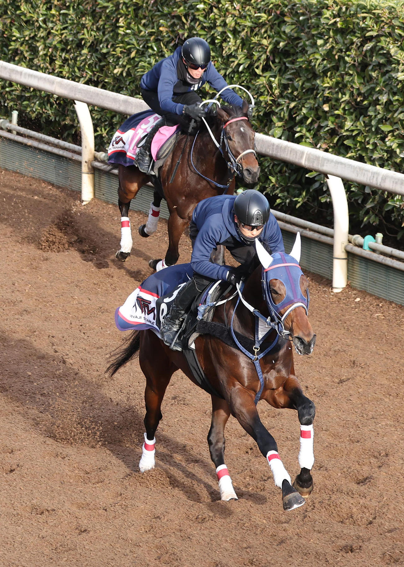 8日、坂路を併せ馬で追い切るクールデイトナ（右）