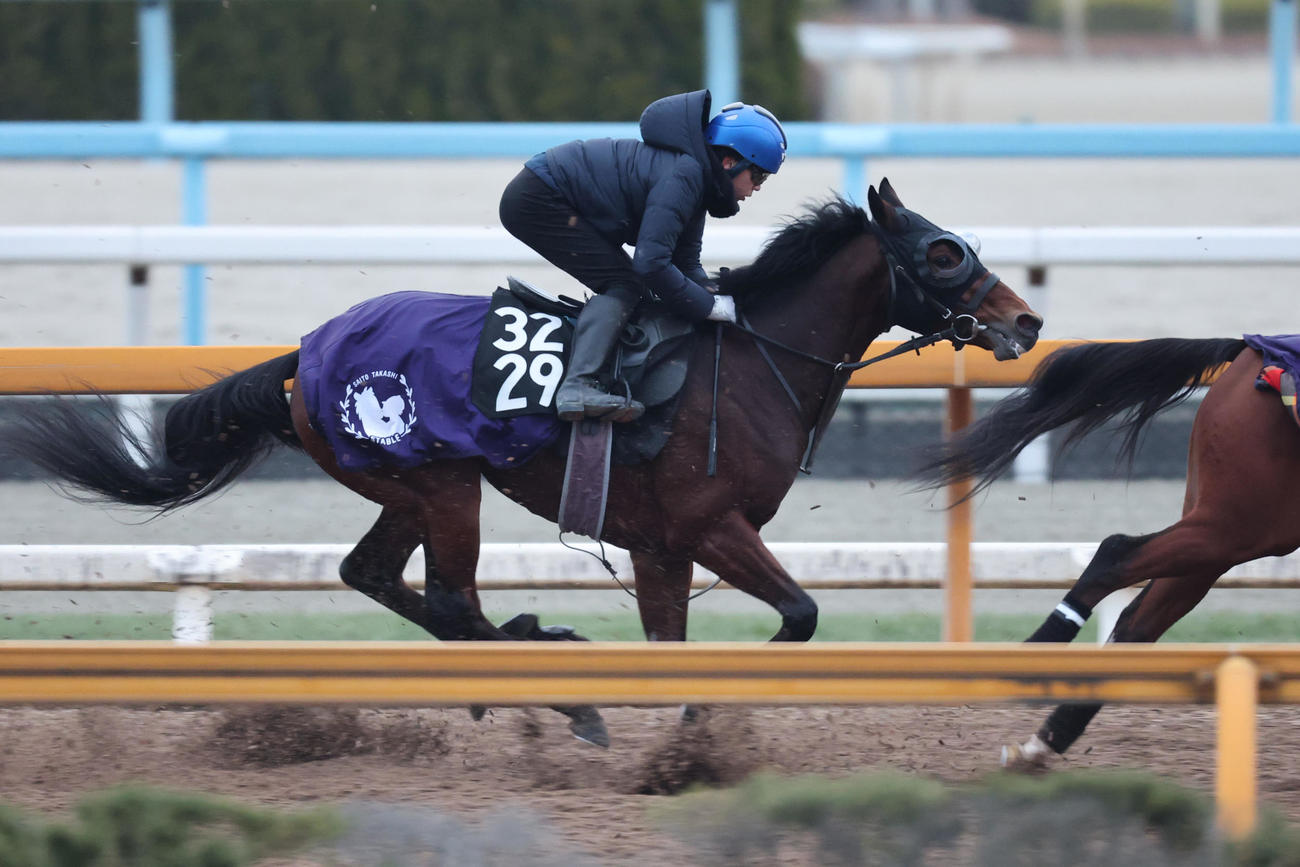 8日、併せ馬に遅れるサウンドムーブ（左）