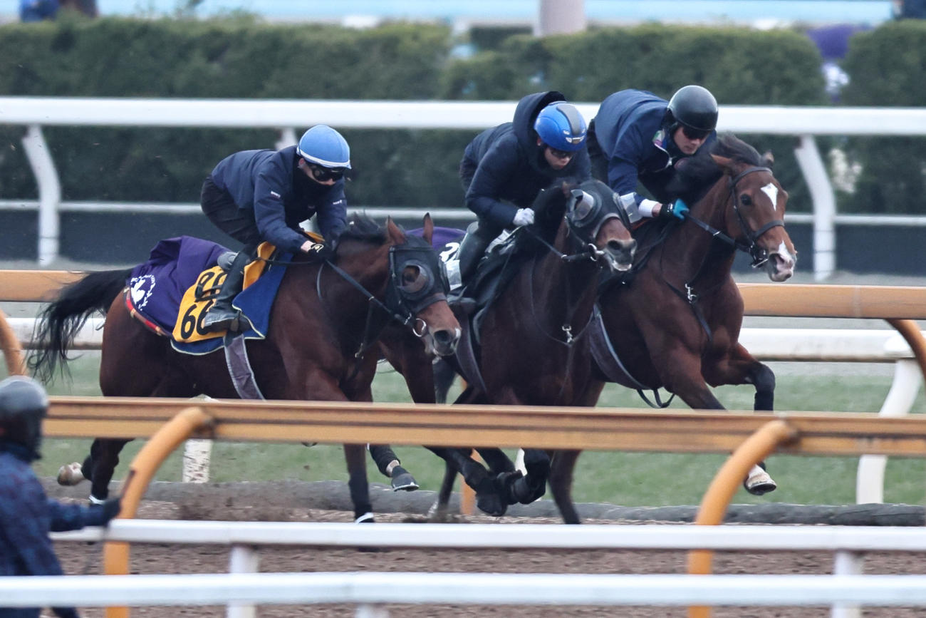 8日、Cウッドコース3頭併せで追い切られたサウンドムーブ（中）