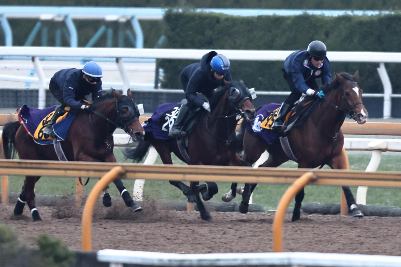 8日、Cウッドコース3頭併せで追い切られたサウンドムーブ（中）