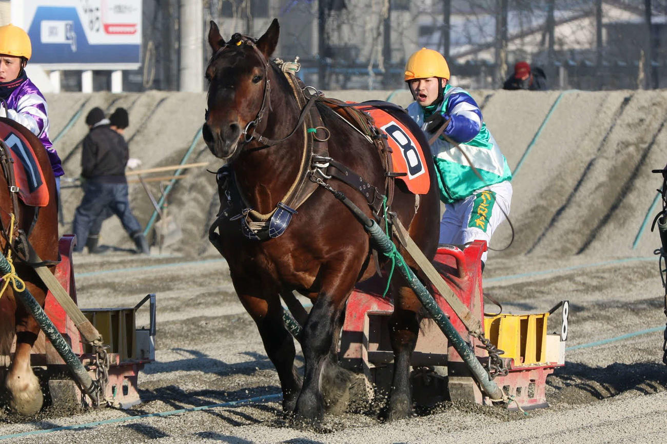 初勝利を挙げた臼杵龍美（うすき・たつみ）騎手（写真提供・ばんえい十勝）