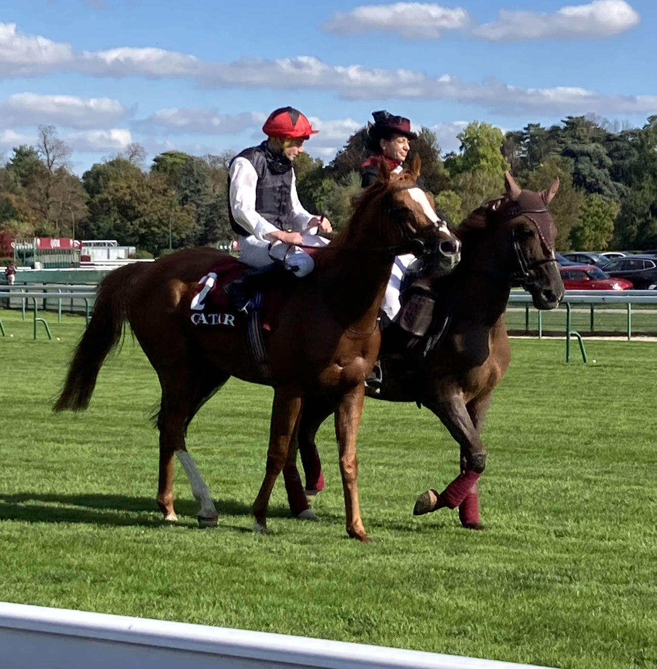 カドラン賞でG1・8勝目を挙げたキプリオス（2024年撮影）