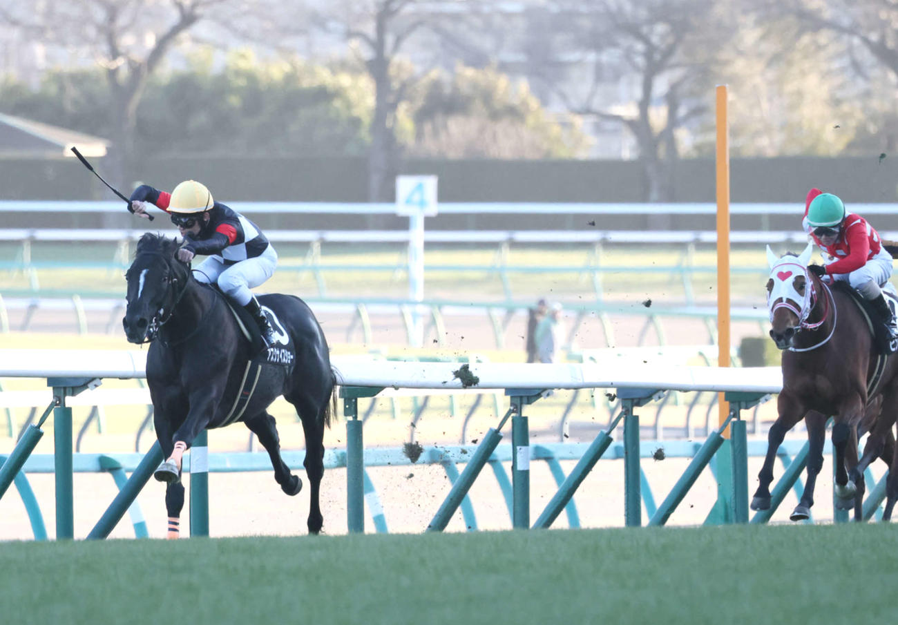 迎春Sを制したアスクナイスショーと田辺騎手（撮影・丹羽敏通）