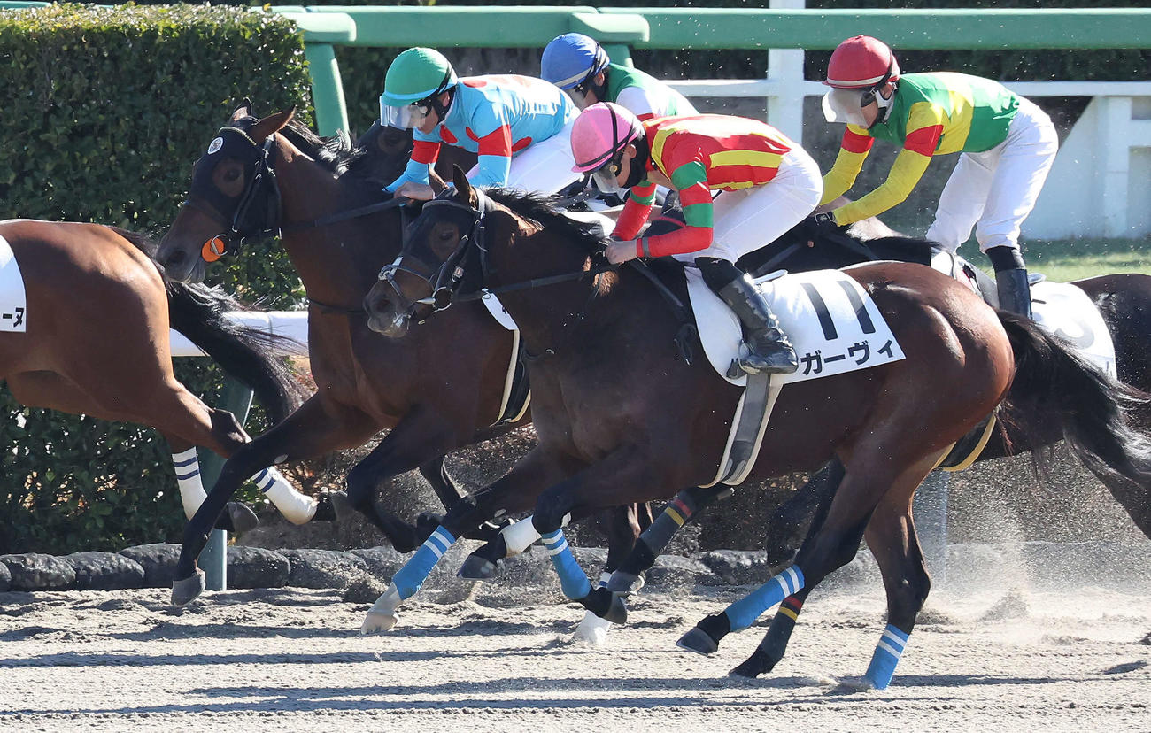ゴール前差し切って3歳新馬戦を制したガーヴィと舟山騎手（手前）（撮影・丹羽敏通）