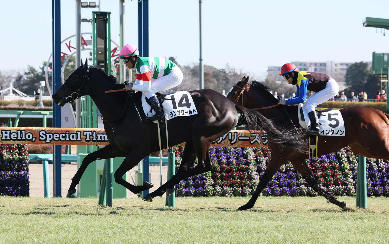 中山5R、3歳新馬戦を制したランザワールドと戸崎騎手（撮影・丹羽敏通）