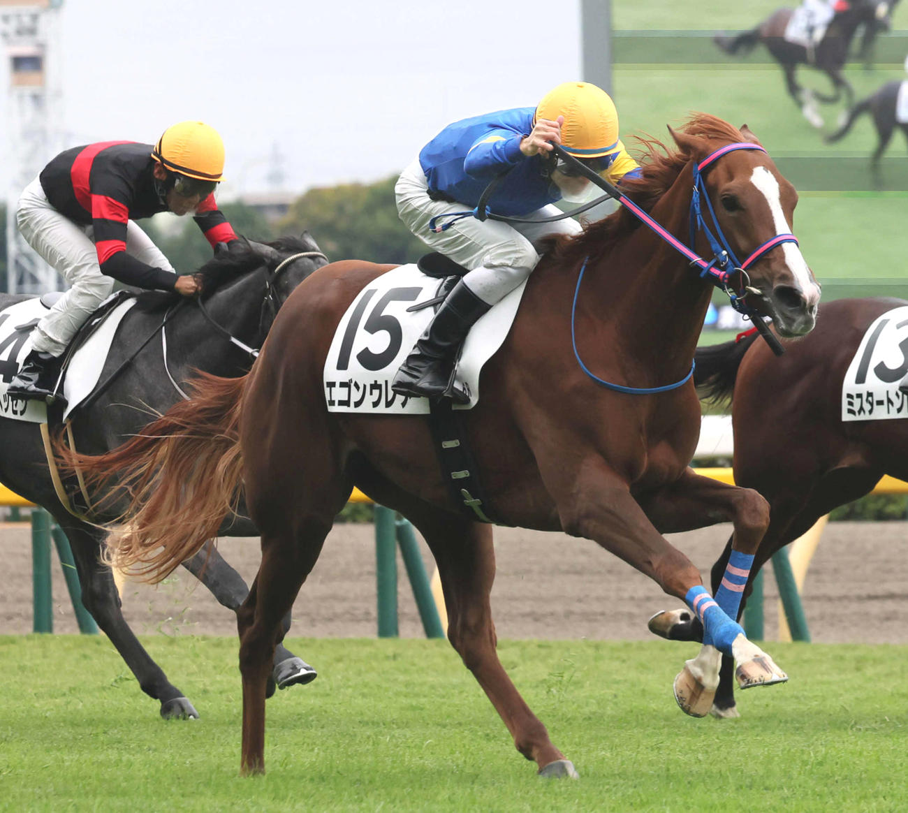 25年10月26日東京6R新馬戦を制したエゴンウレア