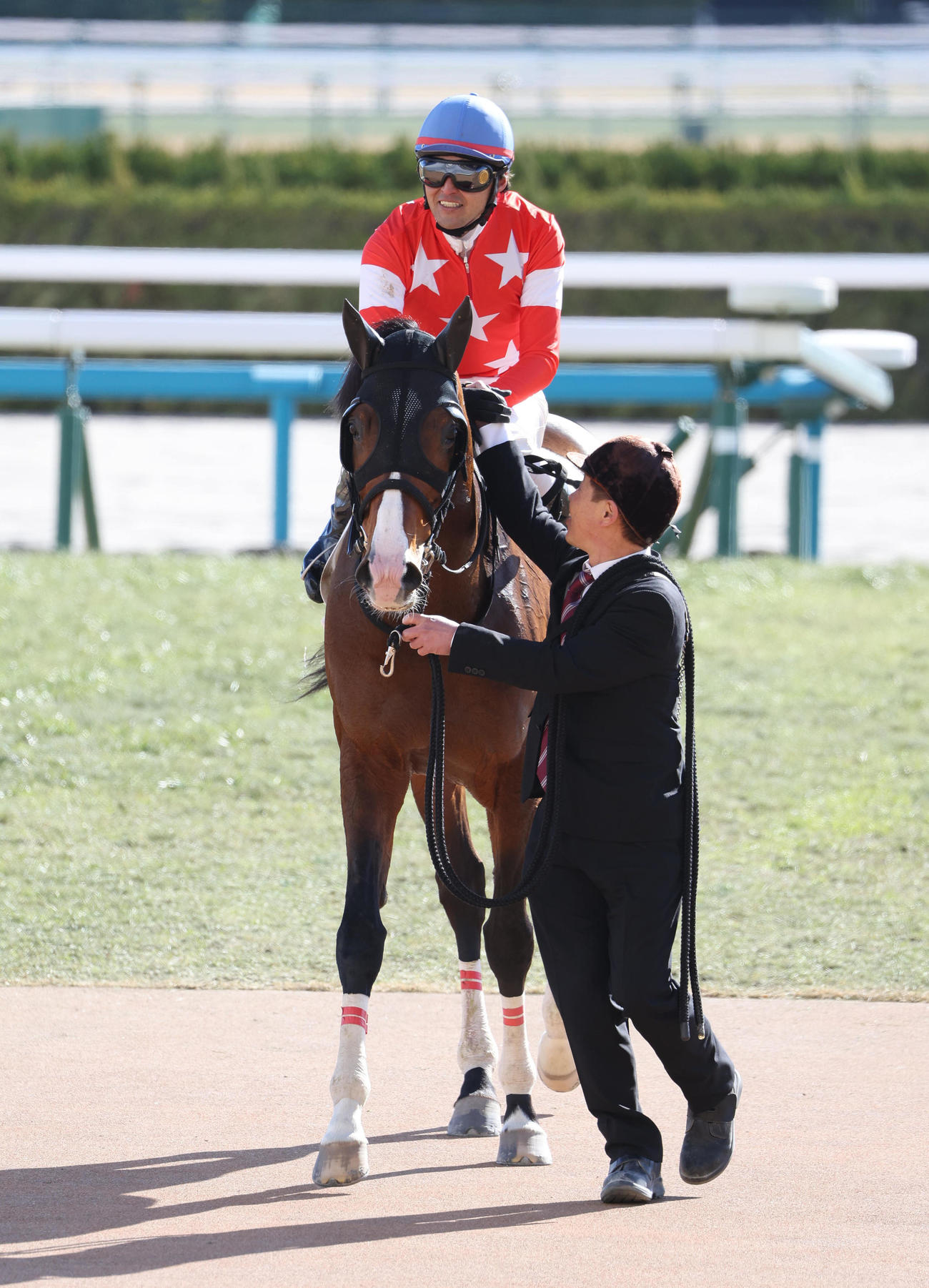 京都4R、レッドファーロで障害競走JRA通算200勝を達成した西谷騎手（撮影・白石智彦）