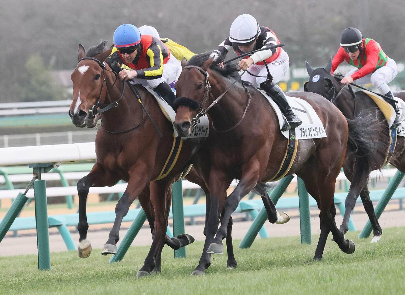 中山8R、4歳上1勝クラスを制したクライスレリアーナとルメール騎手（左）（撮影・丹羽敏通）