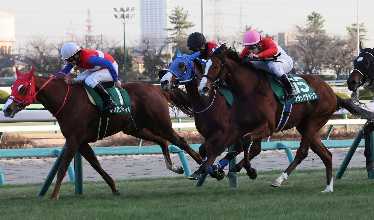 中山11R、フェアリーSを制したブラックチャリスと津村騎手（右）（撮影・丹羽敏通）