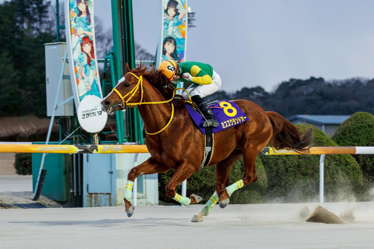 ニッカン・コム杯第5回ゴールドスプリントを制したミスズグランドオー（佐賀県競馬組合提供）