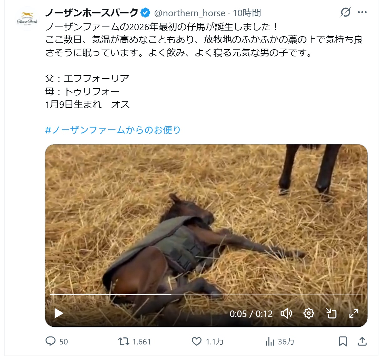 ノーザンホースパークのXから