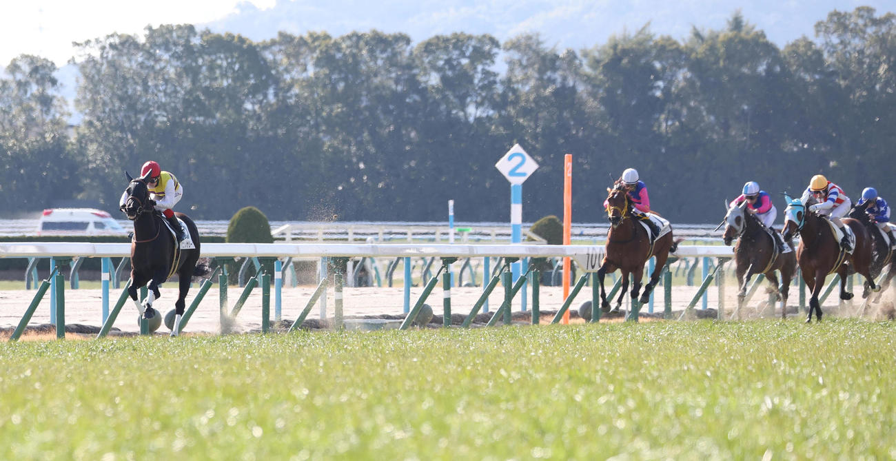 京都5R、逃げ切って新馬戦を快勝したニシノサリーナ（左）（撮影・白石智彦）