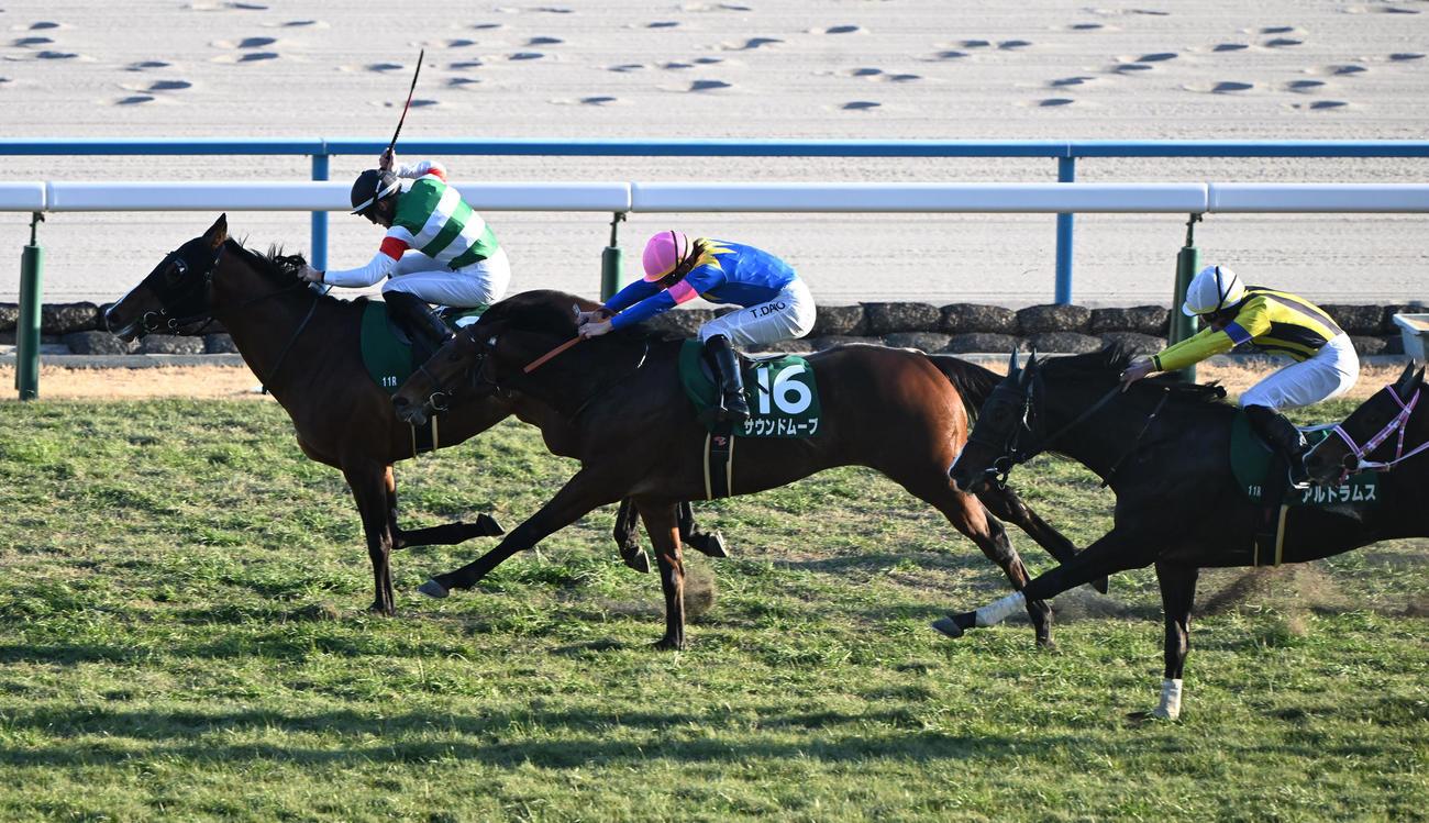 京都11R　日刊スポーツ賞シンザン記念を制するサンダーストラック（左）（撮影・和賀正仁）