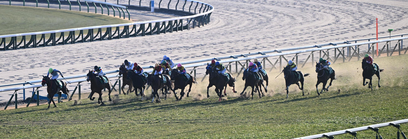 シンザン記念、バルセシート（右から2頭目）は直線追い込むも4着（撮影・和賀正仁）