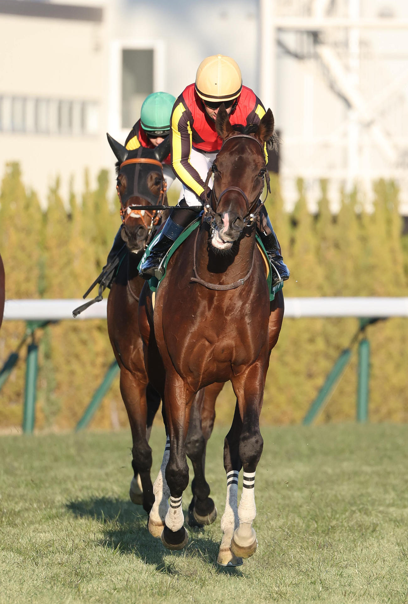 日刊スポーツ賞シンザン記念】ルメール騎乗の1番人気モノポリオは5着