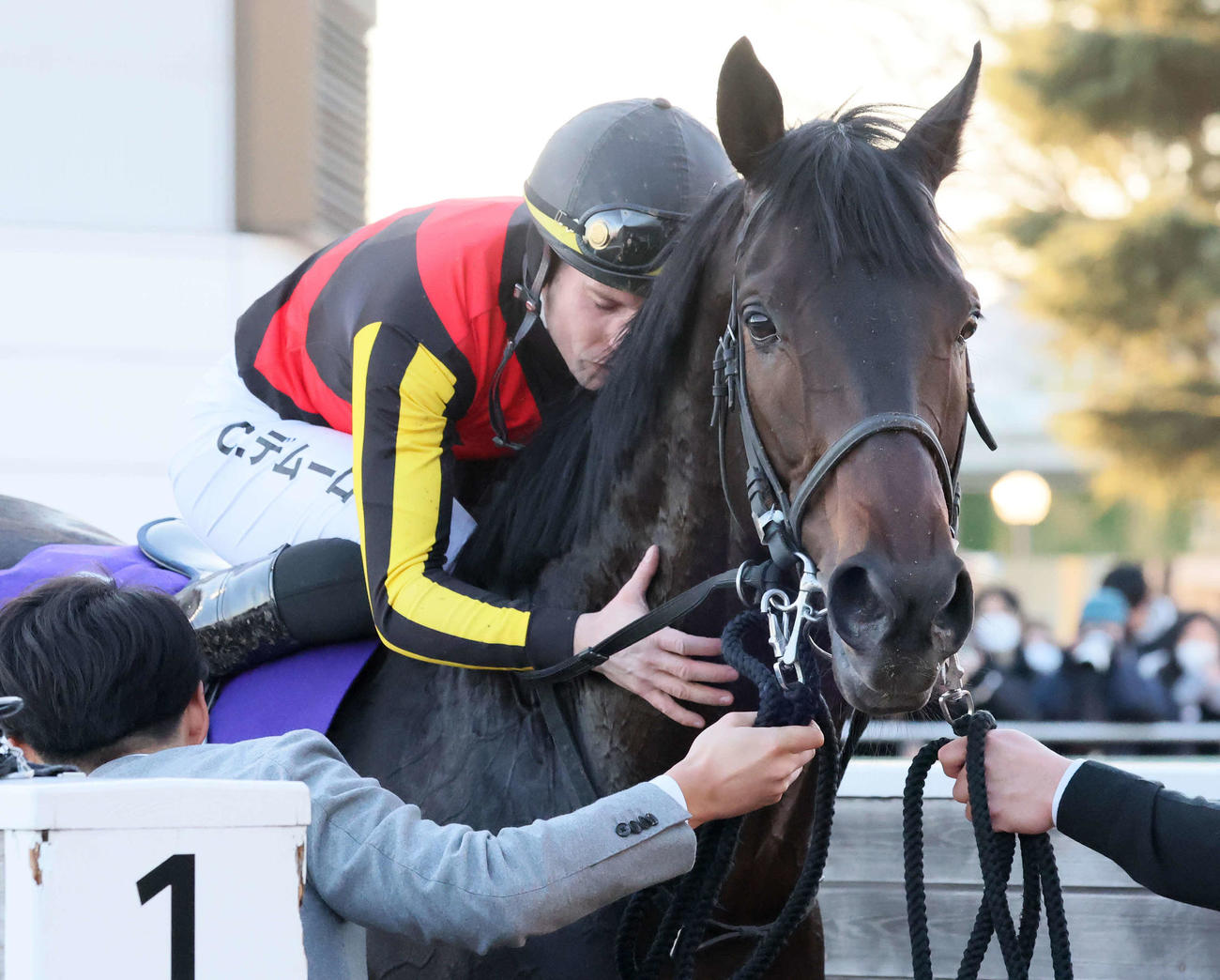 有馬記念をミュージアムマイルで制して首筋に顔をうずめるC・デムーロ騎手（2025年12月28日撮影）