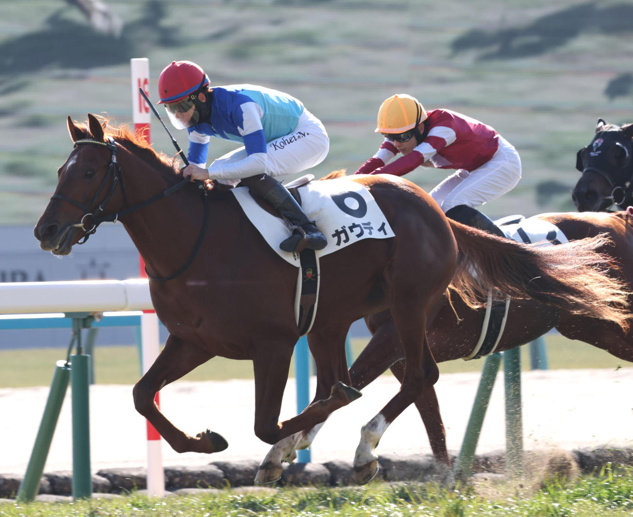 10日京都6R3歳未勝利を制したガウディ