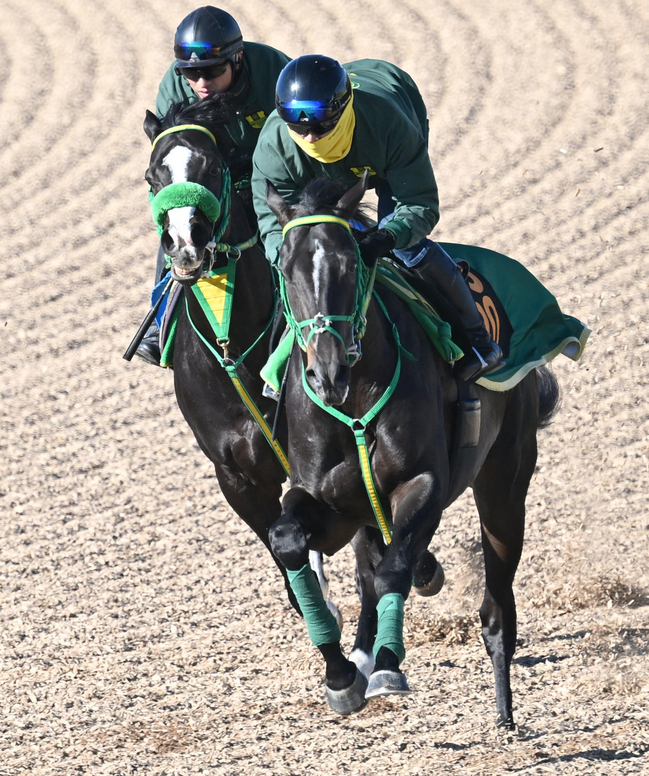 美浦ウッドを2頭併せで追い切るジーネキング（右）（撮影・千葉一成）