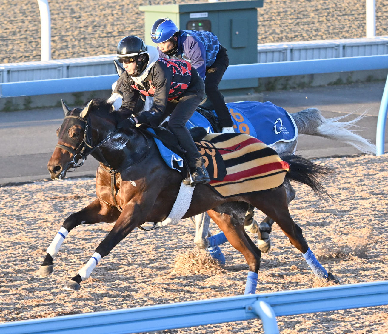 美浦ウッドを2頭併せで追い切るアッカン（手前）（撮影・千葉一成）