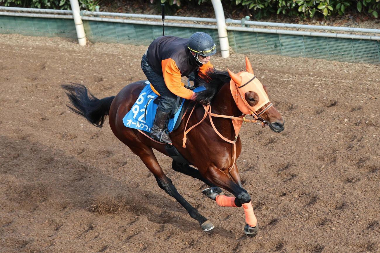 坂路2本目で時計を出したオールナット