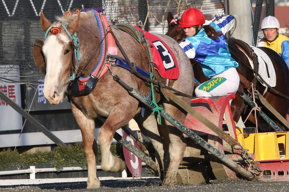 優秀女性騎手賞に輝いた今井千尋騎手（写真提供・ばんえい十勝）