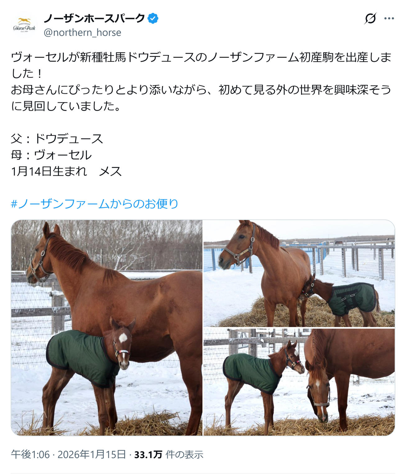 ノーザンホースパークのXから