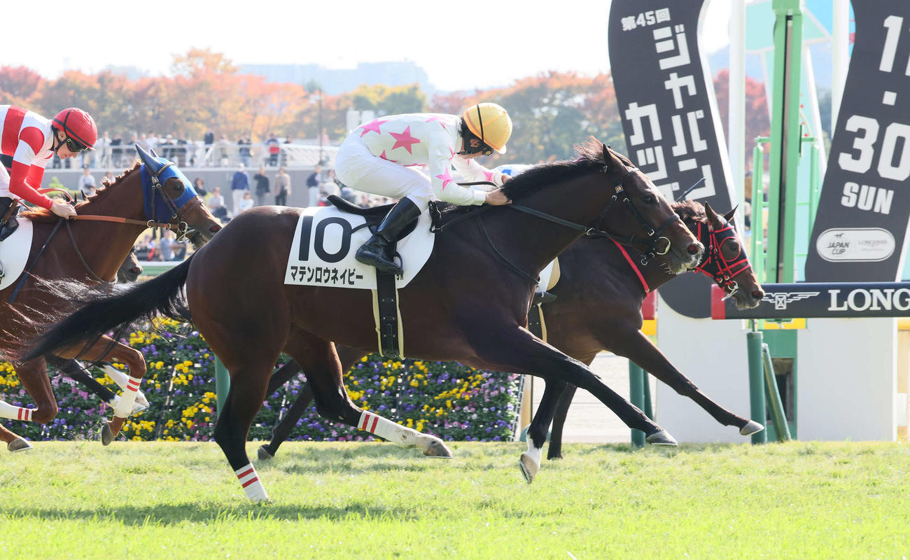 2歳新馬戦を制したマテンロウネイビー（手前）（25年11月撮影）