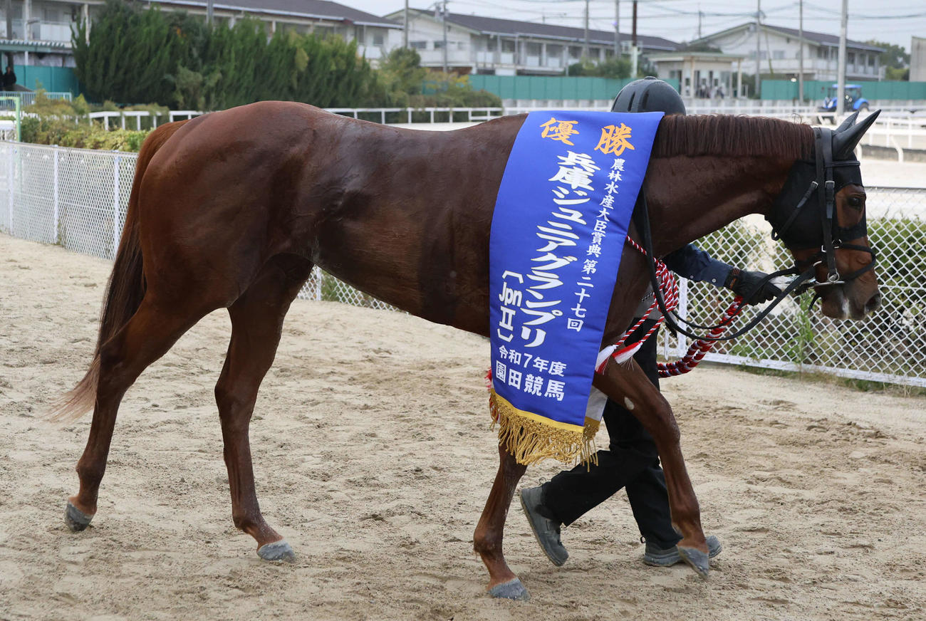 兵庫ジュニアグランプリを制したトウカイマシェリ（25年11月撮影）