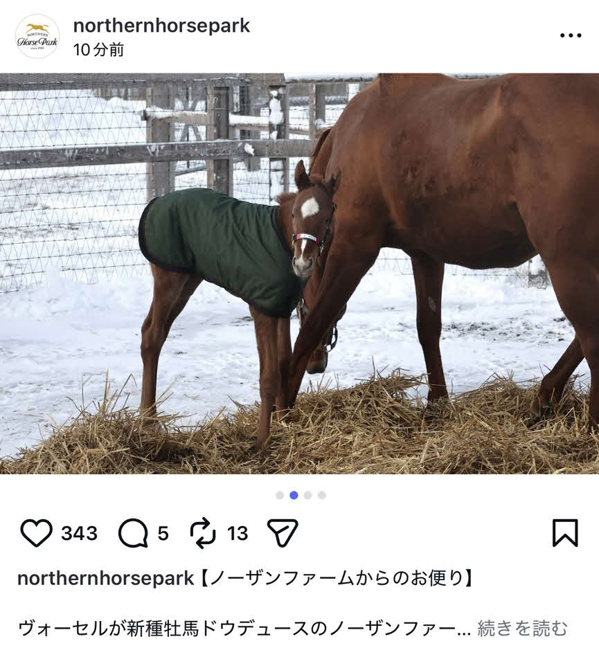 ドウデュースの初年度産駒誕生を伝えるノーザンホースパークの公式インスタグラム