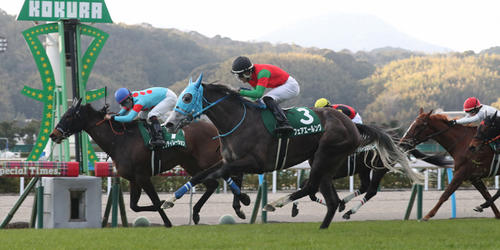 小倉牝馬Sを制したフェアエールング=2025年1月25日
