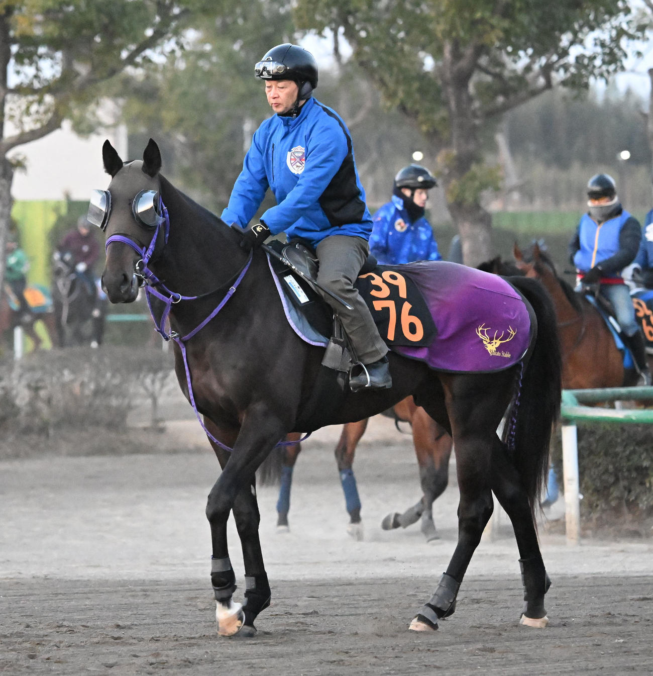 乗り運動するアナザーフェイス（2026年1月15日撮影）