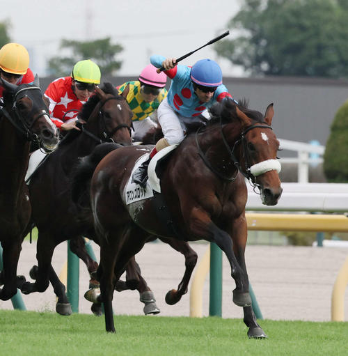 アーモンドアイの初子アロンズロッドは2月14日東京の箱根特別を視野に