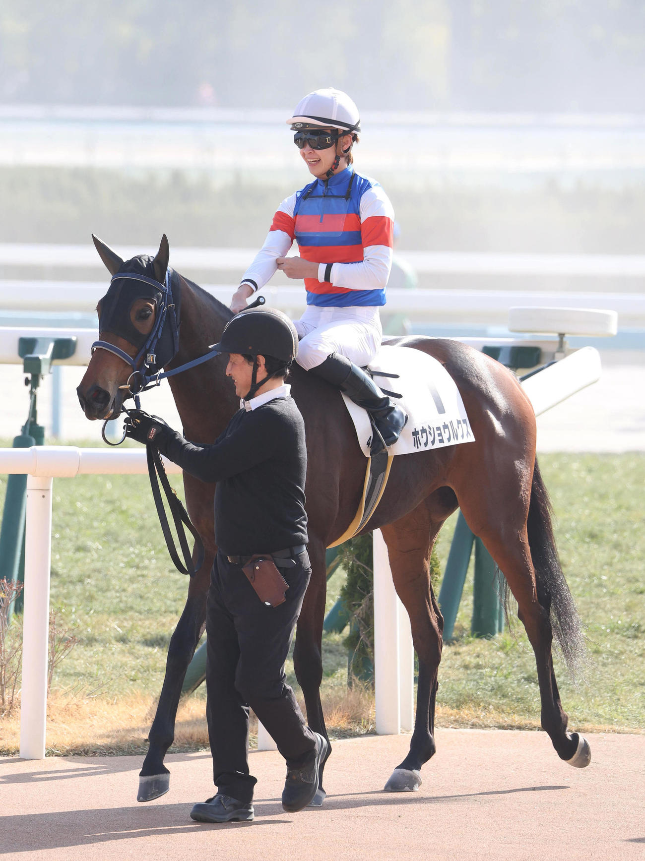 京都4R、新馬戦を制したホウショウルクス（撮影・白石智彦）