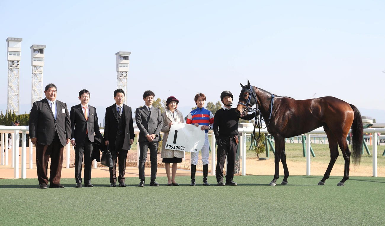 京都4R、新馬戦を制したホウショウルクスと口取りに並ぶ角田騎手（右から2人目）（撮影・白石智彦）