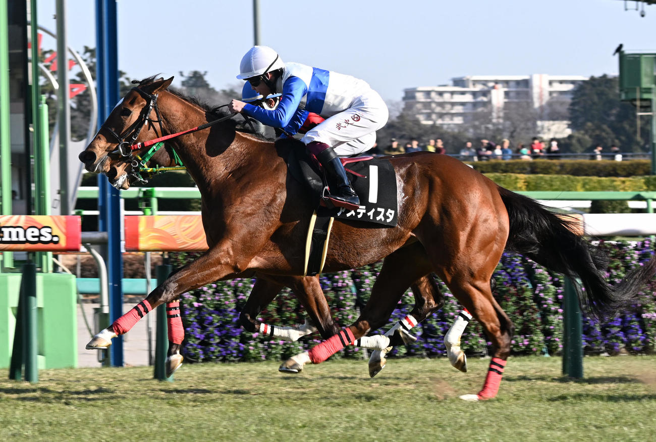菜の花賞を制したアメティスタと横山武騎手（撮影・千葉一成）