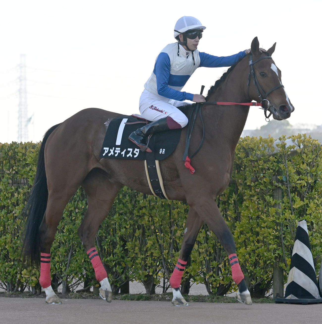 菜の花賞を制し、アメティスタをねぎらう横山武騎手（撮影・千葉一成）
