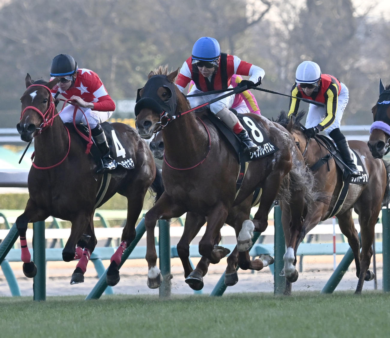 中山11R、カーバンクルSを制したウイングレイテストと松岡騎手（中央）（撮影・千葉一成）
