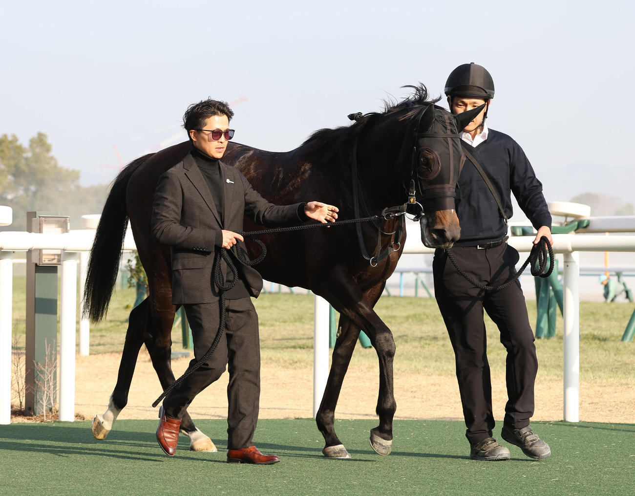 京都10R、紅梅Sを快勝したリリージョワ（撮影・白石智彦）