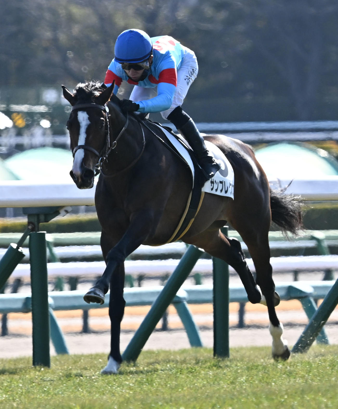 中山5R、3歳新馬戦を制したサンプレクスと石川騎手（撮影・千葉一成）